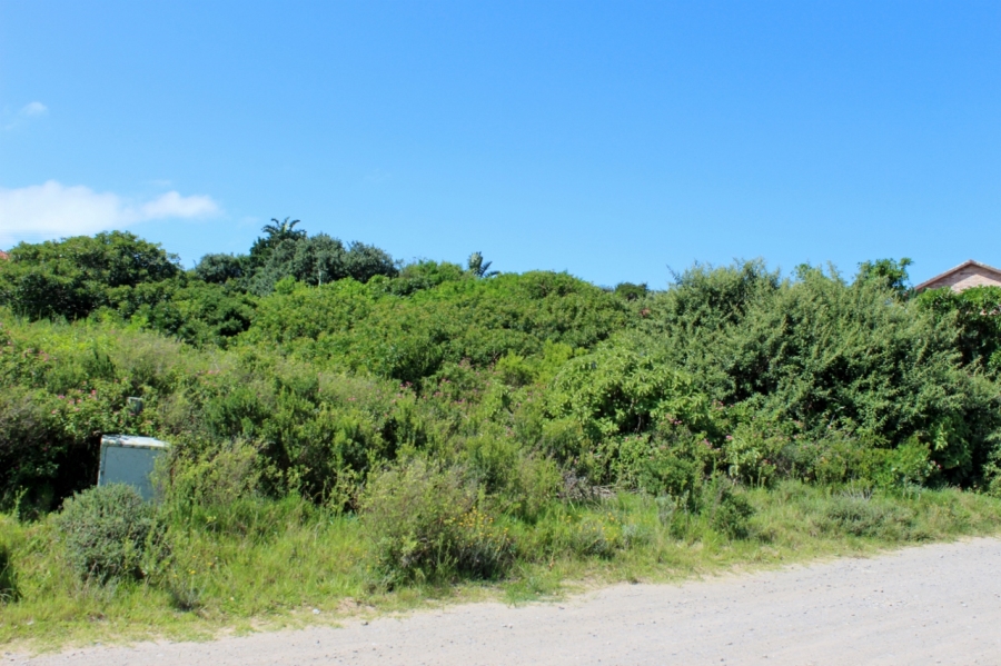 0 Bedroom Property for Sale in Forest Downs Eastern Cape